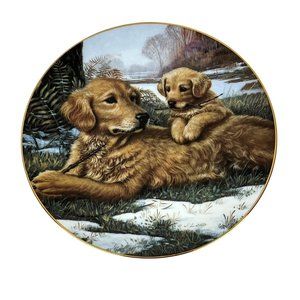 Hamilton Collection Sporting Generation Plate Golden Moments Jim Lamb